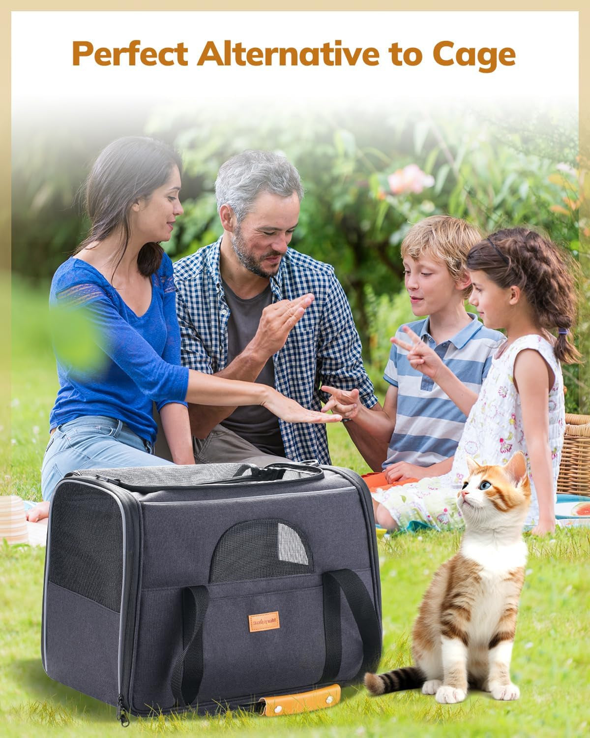 Soft-Sided Cat Carrier for Large and Medium Pets up to 18 lbs - Airline Approved with Safety Zippers and Foldable Bowl - Dark Gray