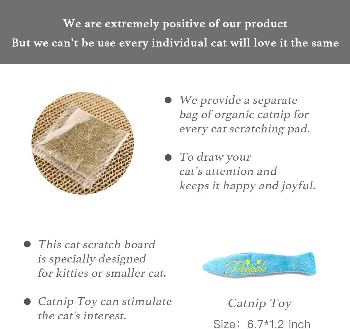 Reversible Cardboard Cat Scratching Pad with Catnip - 1 Pack