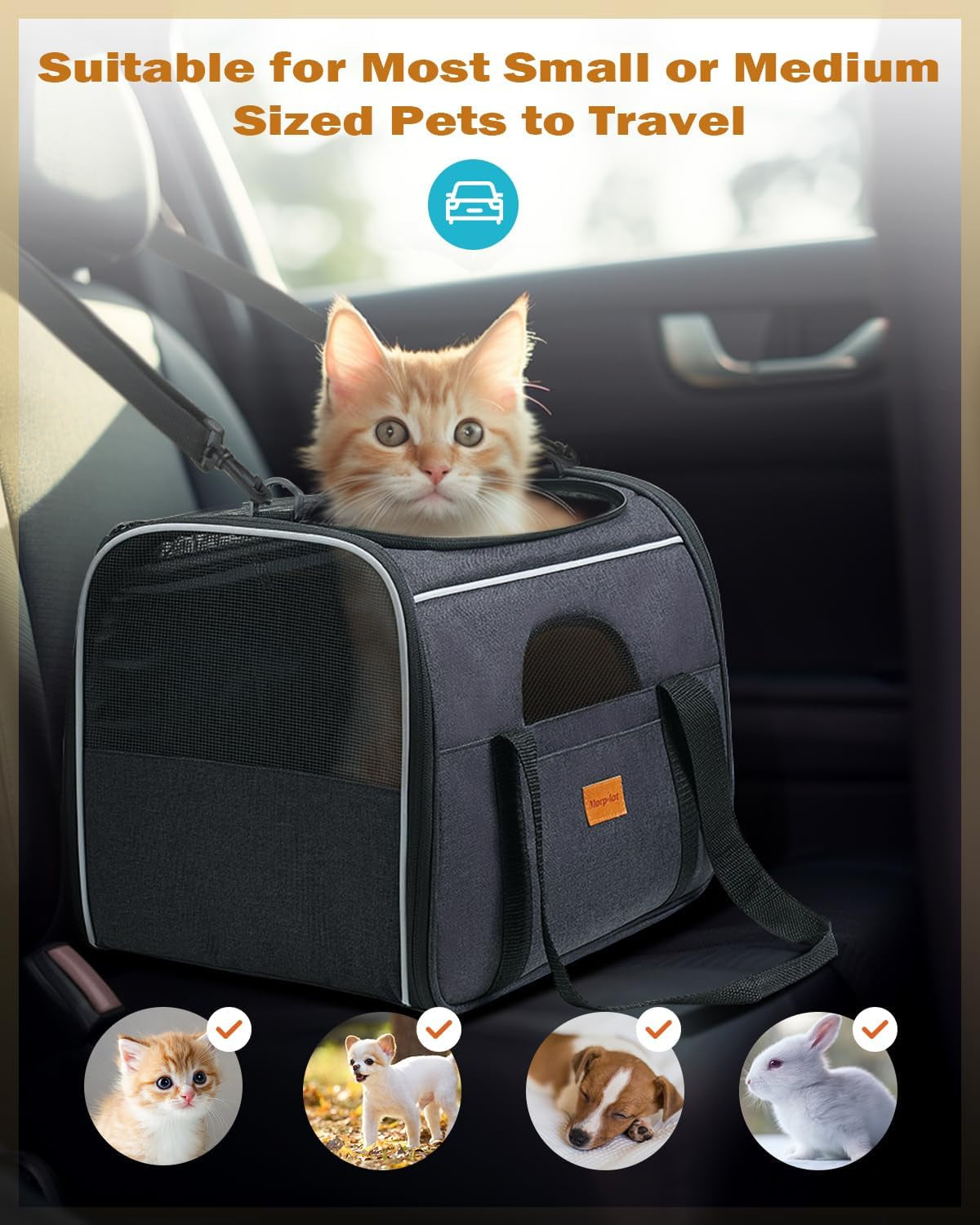 Soft-Sided Cat Carrier for Large and Medium Pets up to 18 lbs - Airline Approved with Safety Zippers and Foldable Bowl - Dark Gray