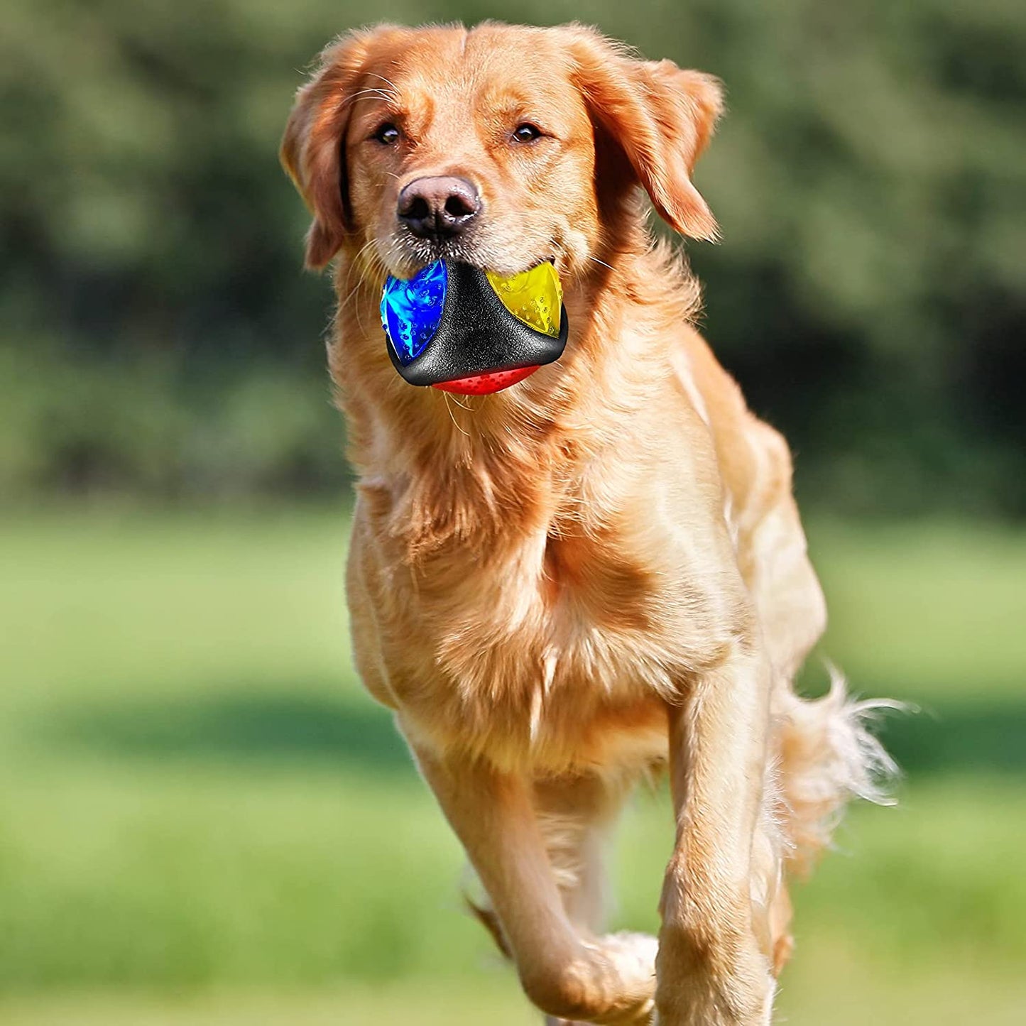 4 Pieces Light up Dog Ball Spiny Light up Dog Ball Flashing LED Dog Ball for Dog