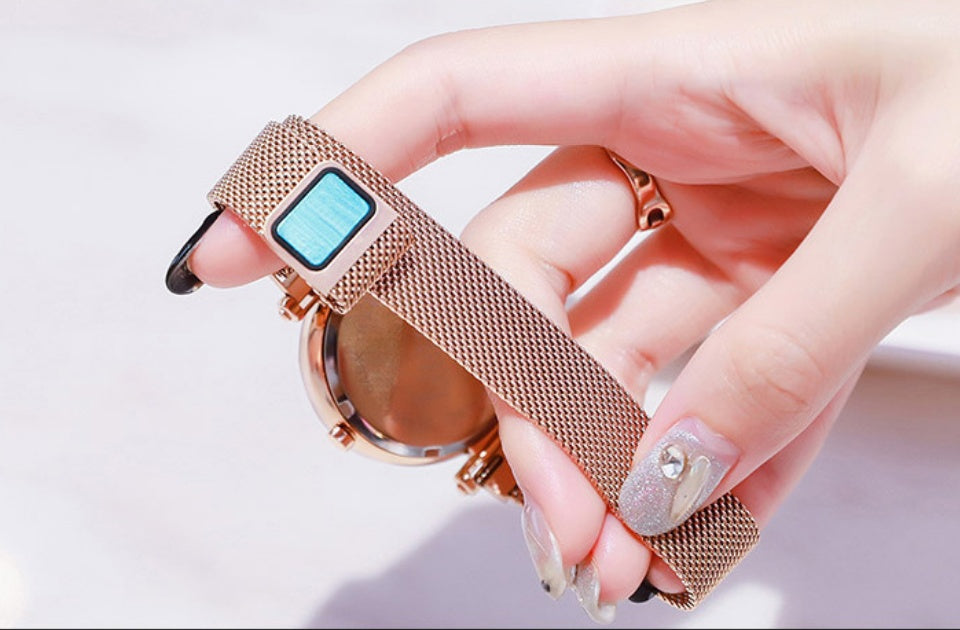 Luxury Mesh Women’s Quartz Watch