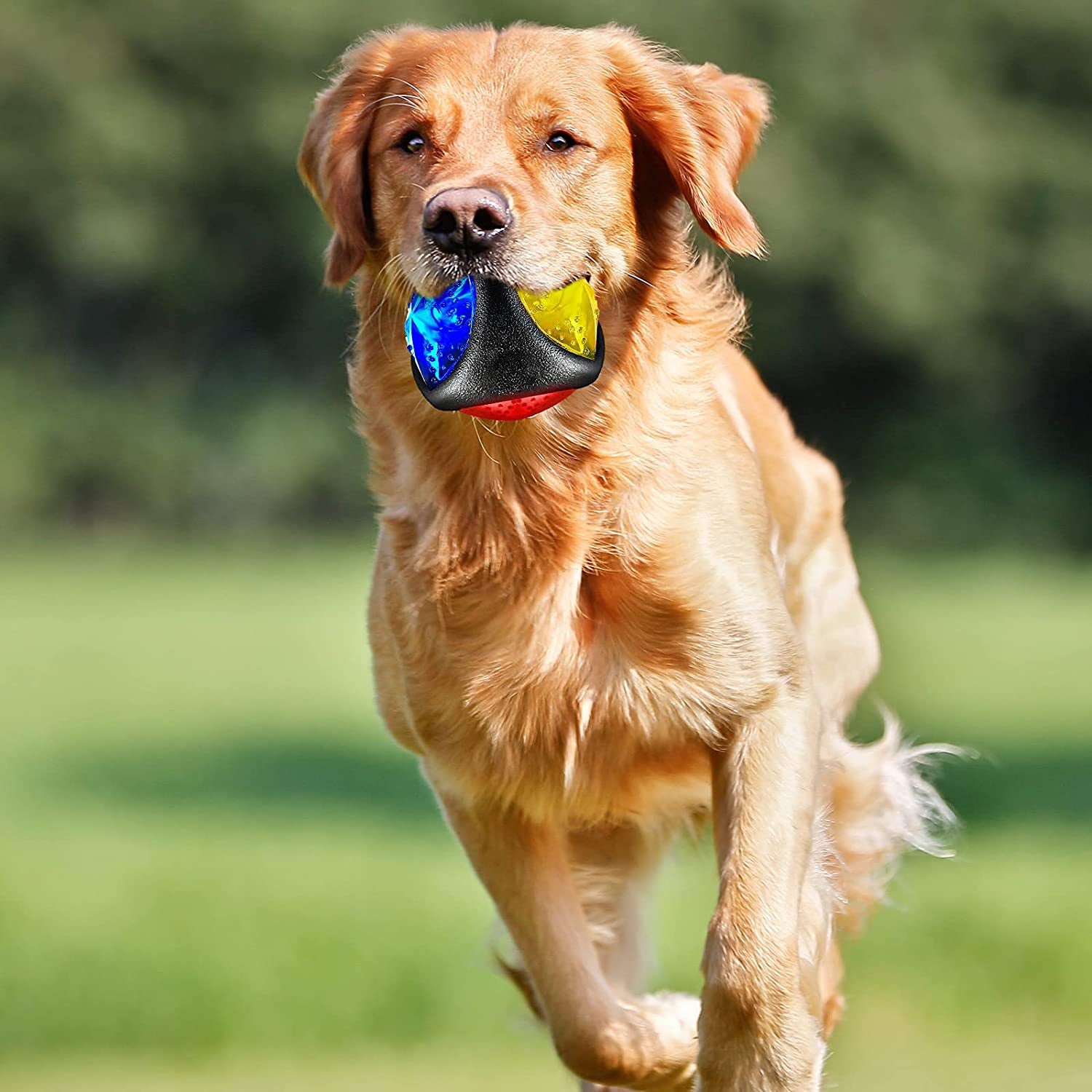 4 Pieces Light up Dog Ball Spiny Light up Dog Ball Flashing LED Dog Ball for Dog